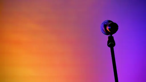 Microphone for speaker or journalist