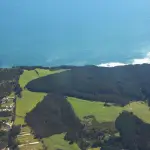 Corma lanza proyecto Bien P煤blico Carbono Forestal ,Corma