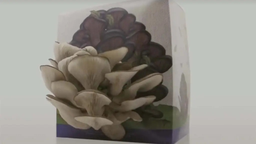 ketrawa ,EntrepreNerd