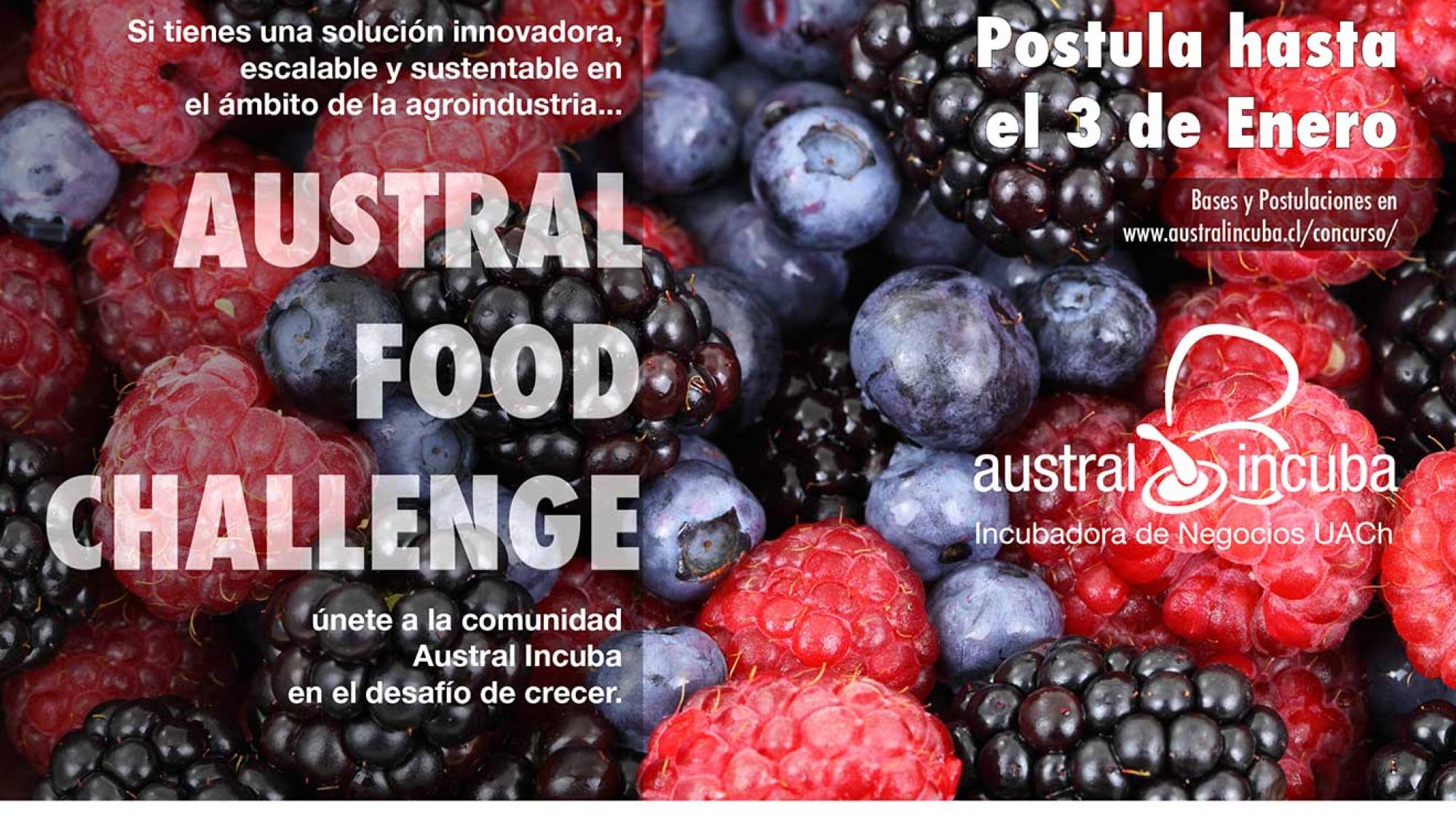 foodchallenge, EntrepreNerd