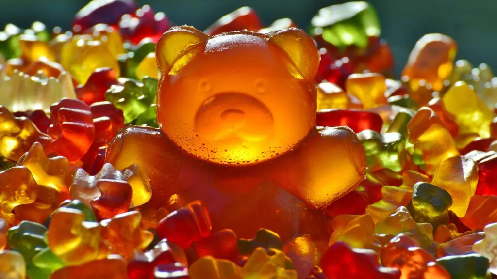 giant rubber bear 1089612 1280 ,EntrepreNerd