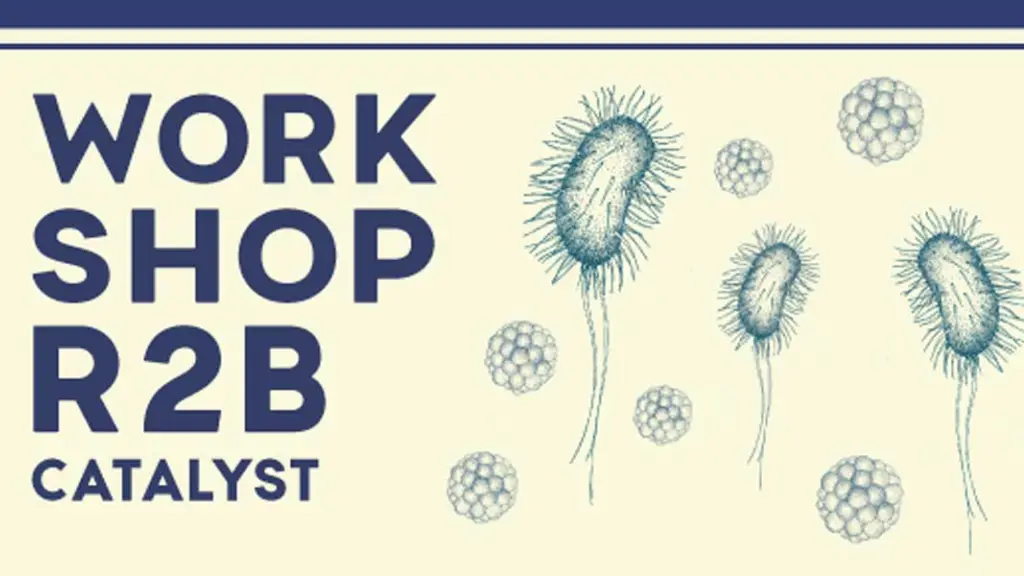 workshop ,EntrepreNerd