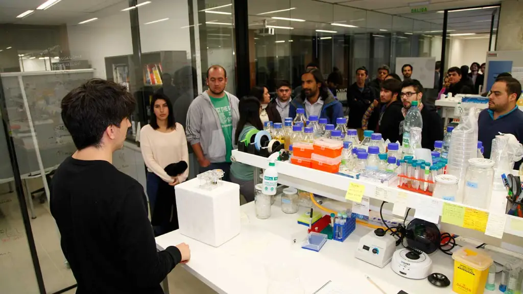 brainuc ,EntrepreNerd