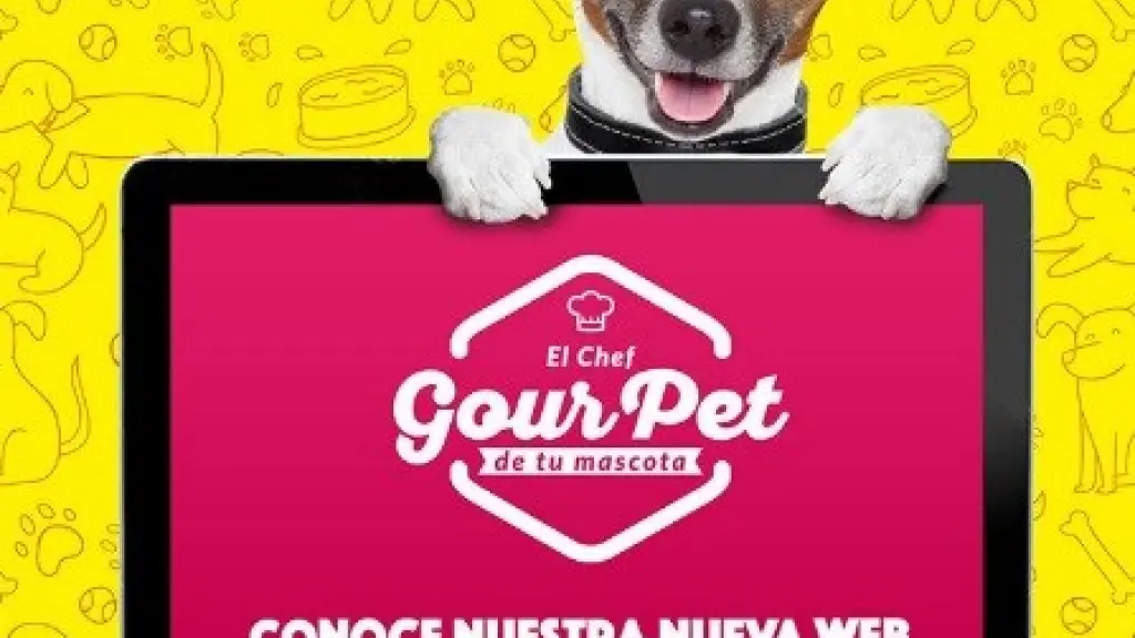 Gourpet 2 ,EntrepreNerd