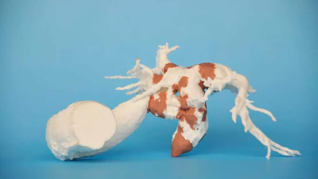 biomodelos1320 1 ,EntrepreNerd