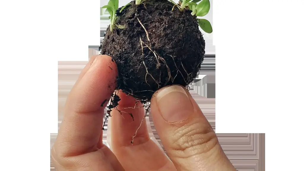 Mano Trufa Verde Principal sola BAJA ,EntrepreNerd