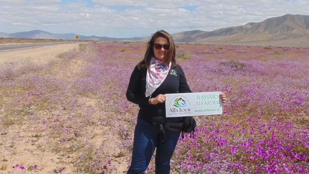 ALFA TOUR CENTRO LA SERENA ,EntrepreNerd