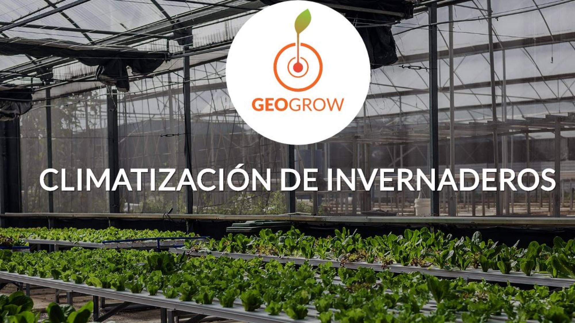 Geogrow 1, EntrepreNerd