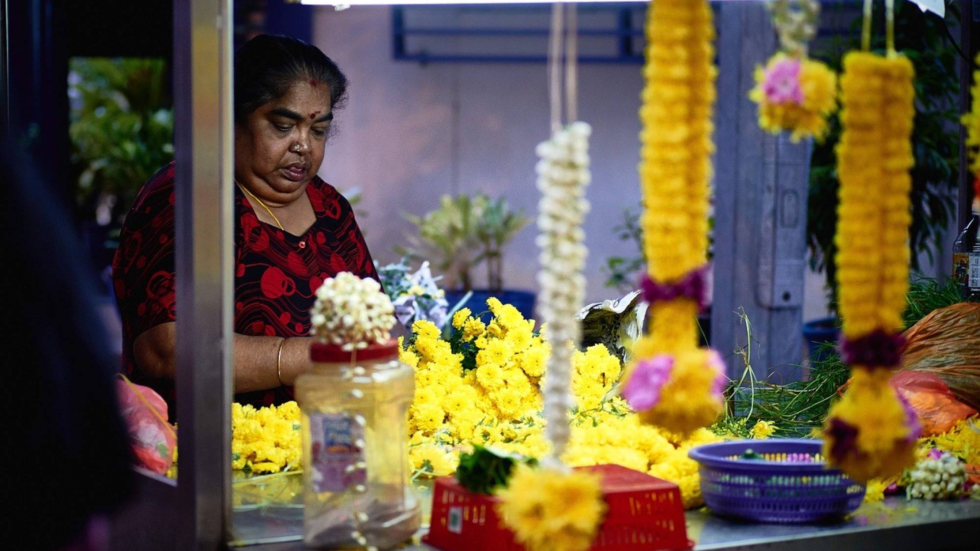 flower 768504 1280, EntrepreNerd