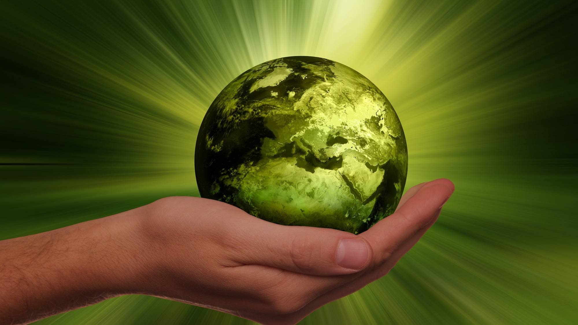 sustainability 3300869 1920, EntrepreNerd