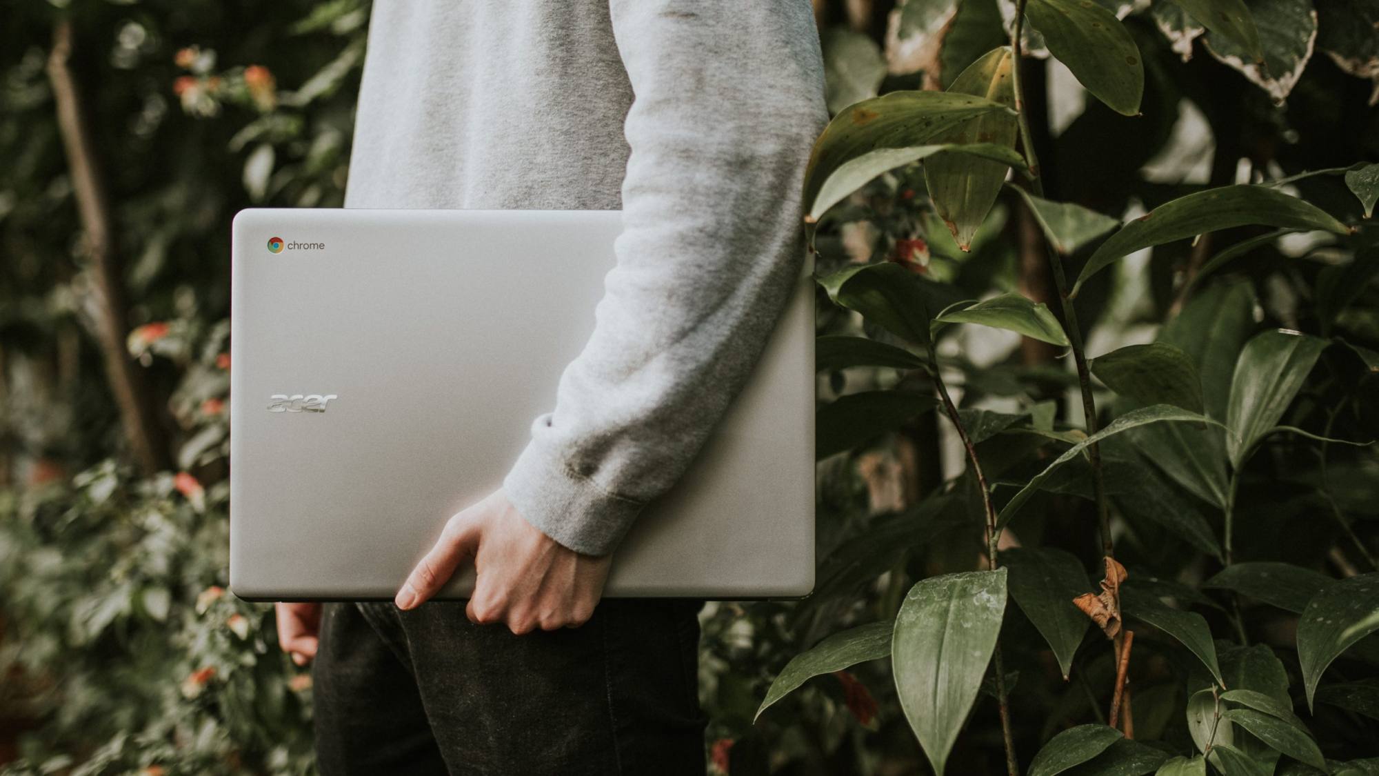 felix russell saw 609925 , Unsplash