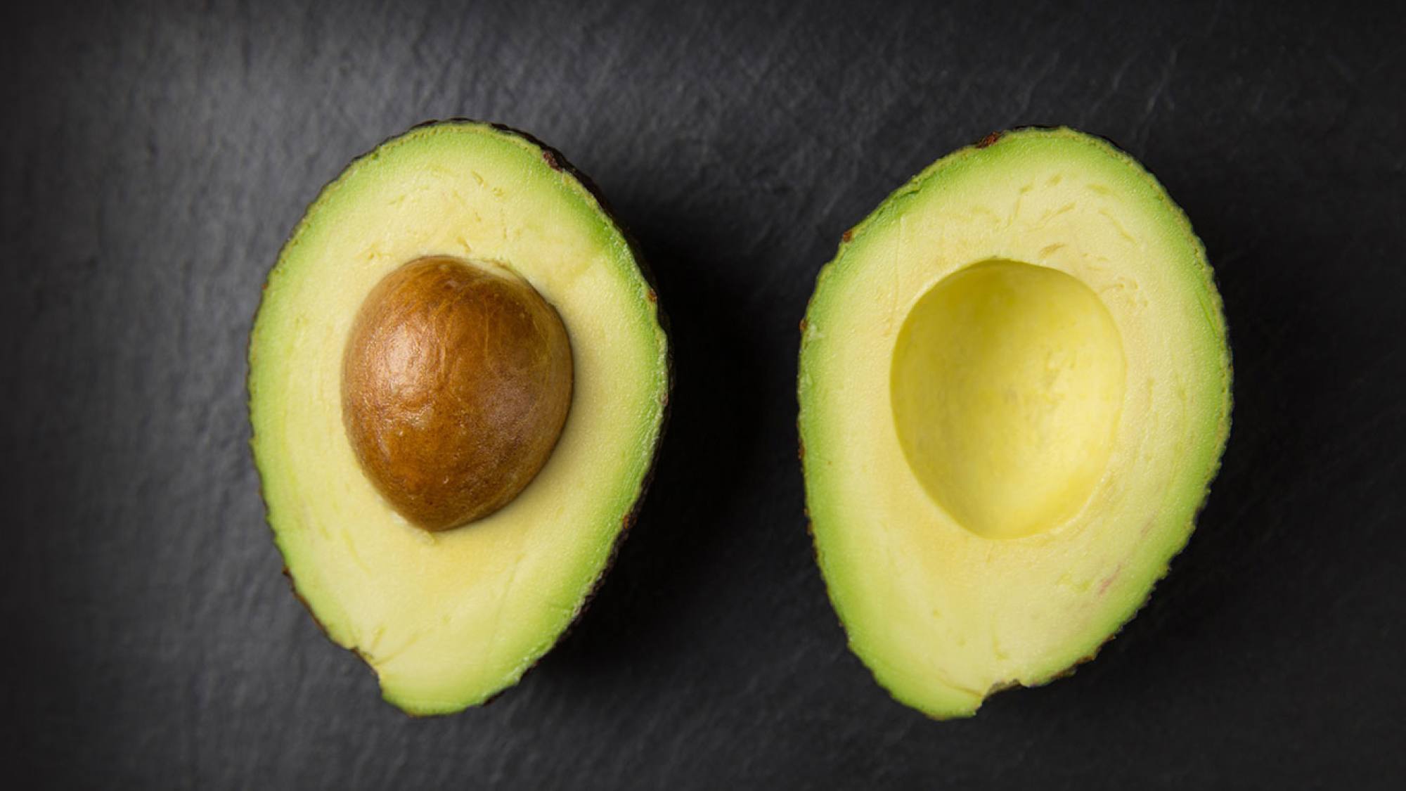 palta 1320, EntrepreNerd
