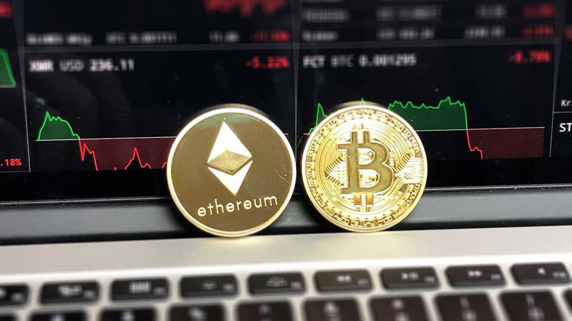 criptosii, EntrepreNerd