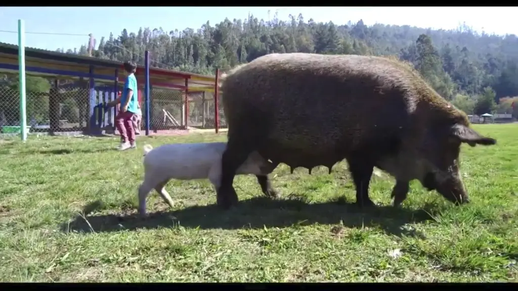 Screenshot 2019 06 24 at 23 ,EntrepreNerd