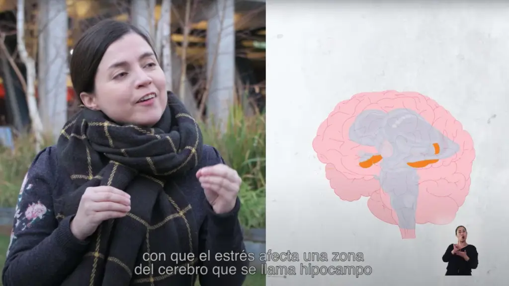 webseriecerebro ,EntrepreNerd