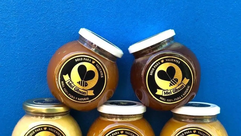 Miel Gibson ,EntrepreNerd