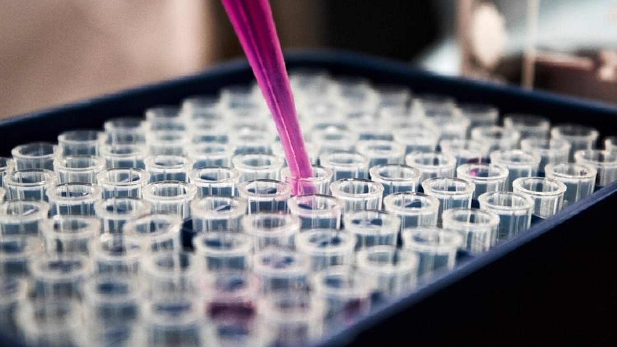 Startup Ciencia, EntrepreNerd