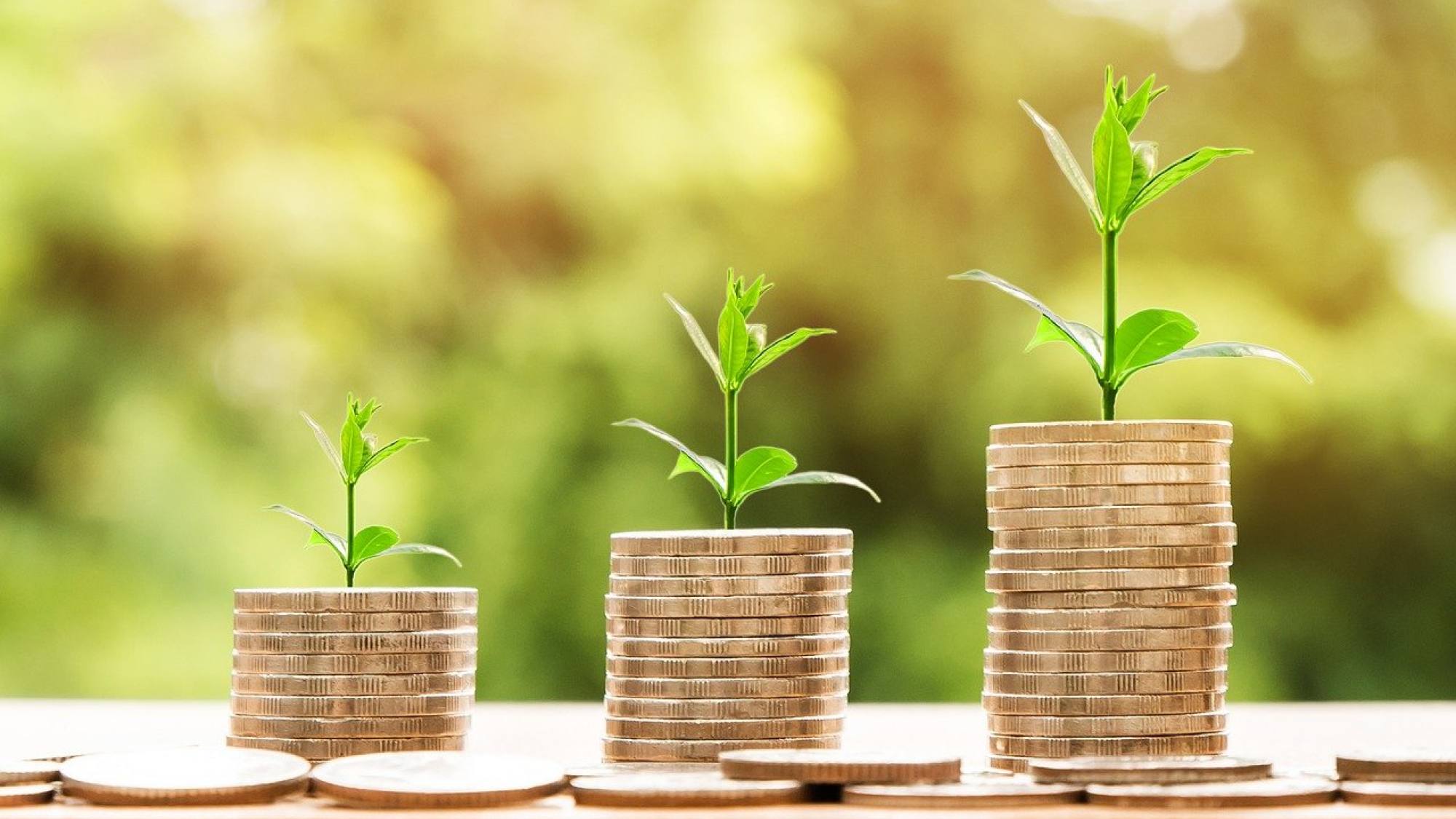 money 2696219 1280 1, EntrepreNerd