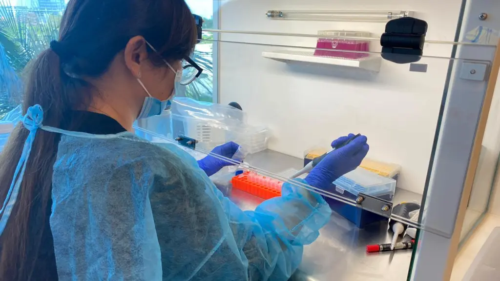 IMG 20201215 WA0050 ,EntrepreNerd