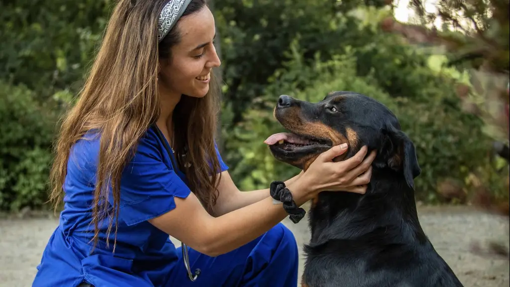 Captura de Pantalla 2020 12 14 a las 16 ,EntrepreNerd