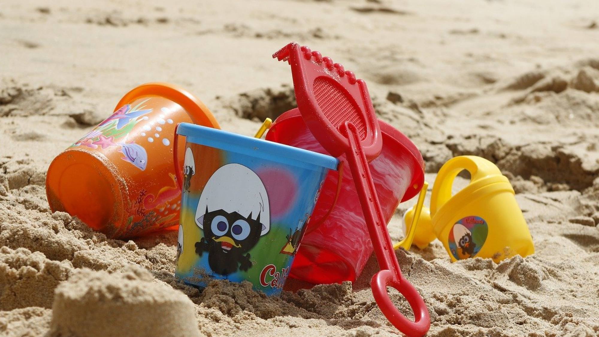 bucket 1005891 1280, EntrepreNerd