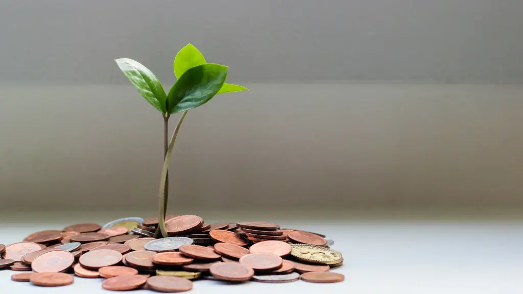 micheile henderson lZ 4nPFKcV8  1 ,Unsplash