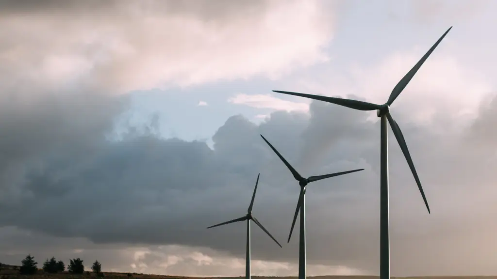 foto1 1 ,EntrepreNerd