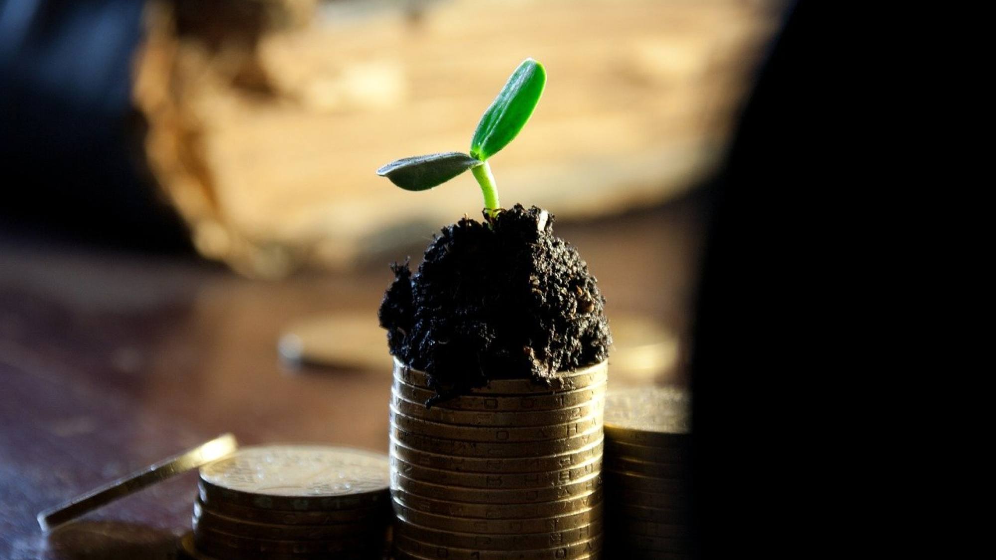 money 549161 1280, EntrepreNerd