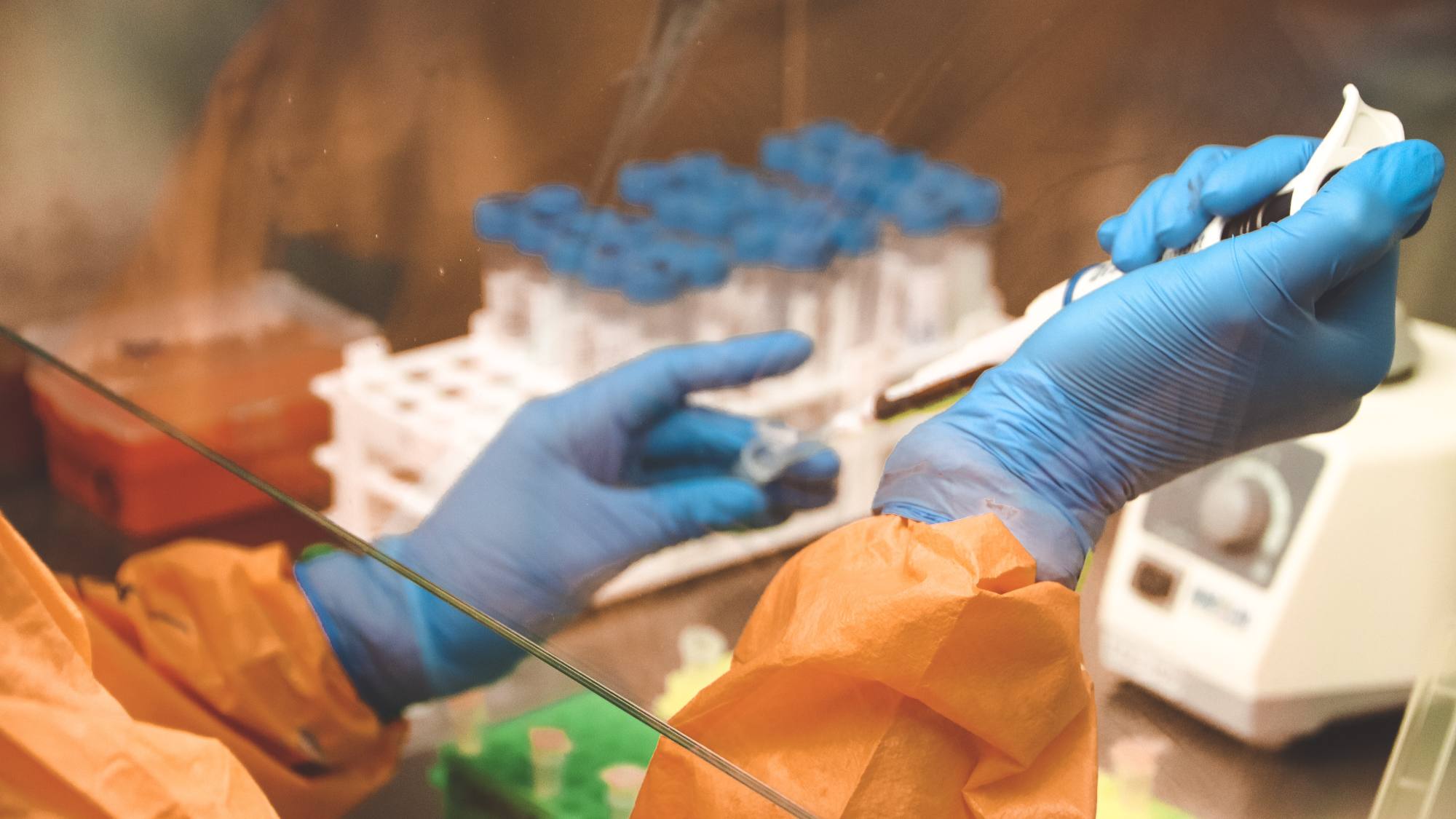 IMG 5591, EntrepreNerd