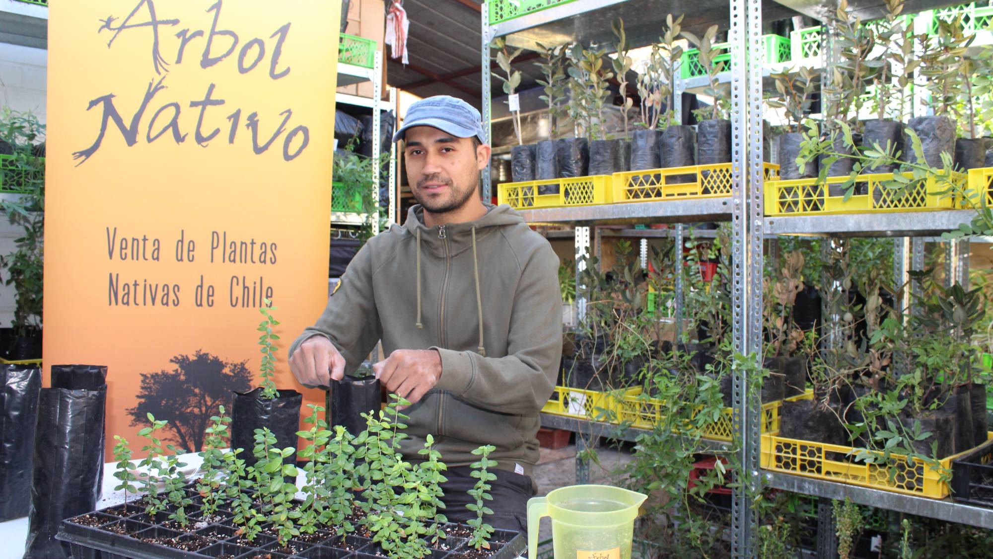 Felipe Urtubia de Arbol Nativo Semilla 2019, EntrepreNerd