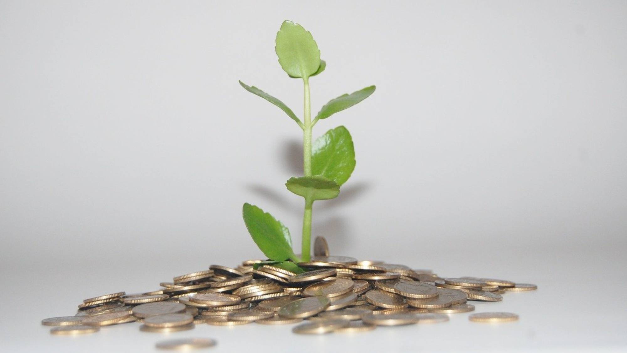 cigarettes 621346 1280, EntrepreNerd