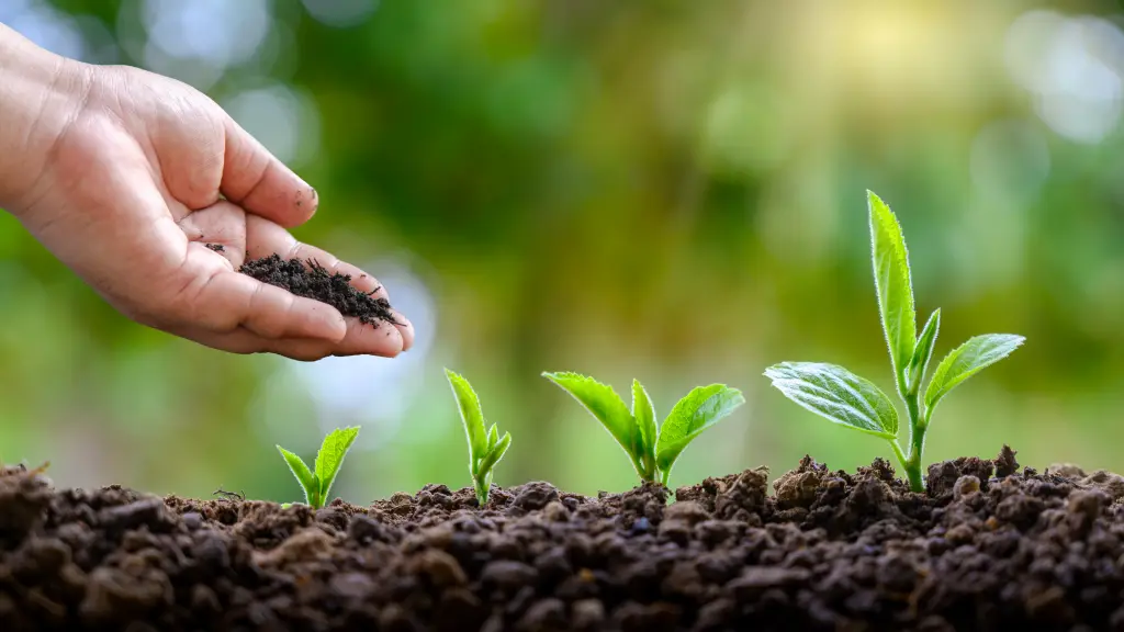 Green spaces 002 ,EntrepreNerd