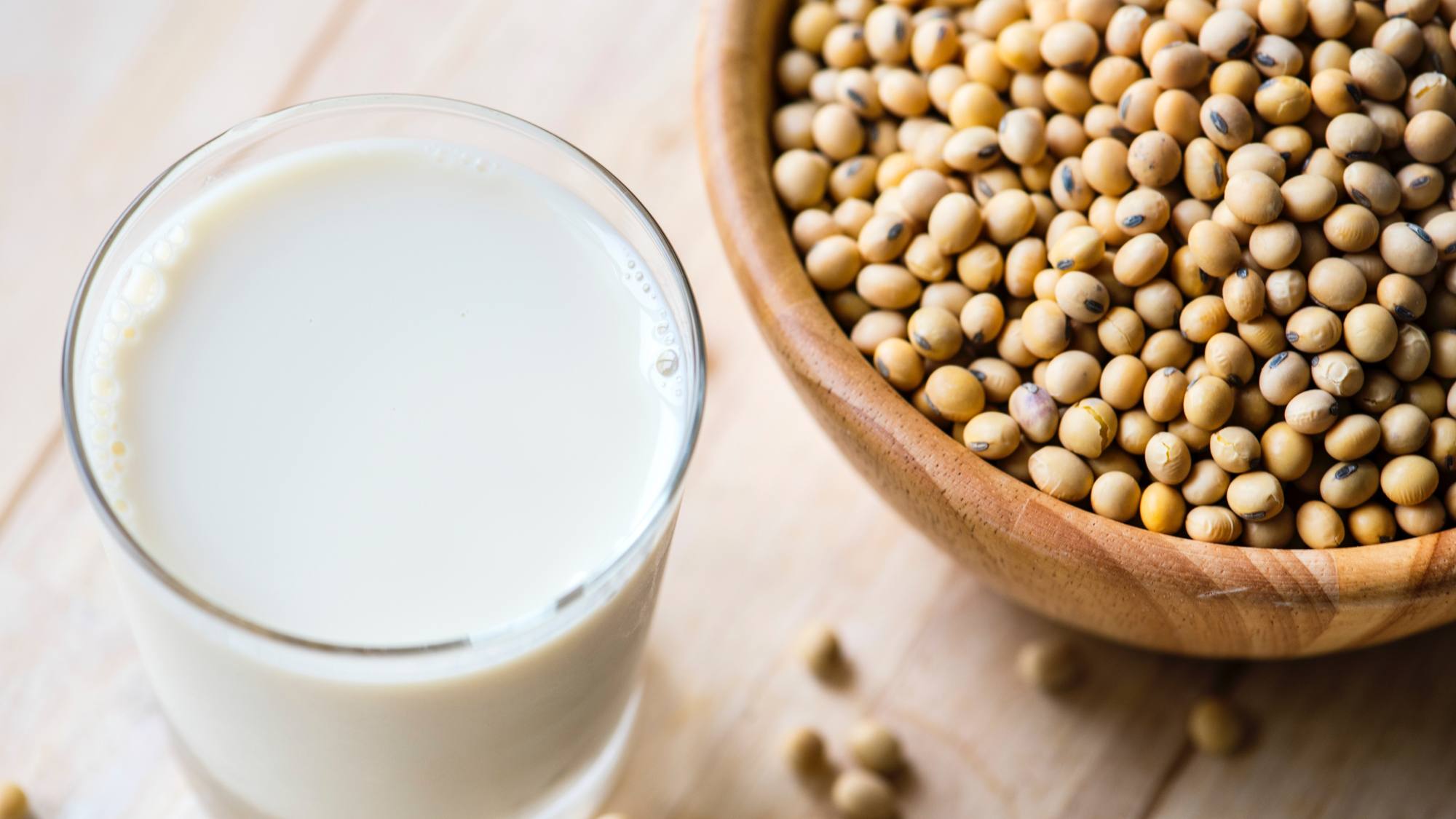 Alimento Plant Based, EntrepreNerd