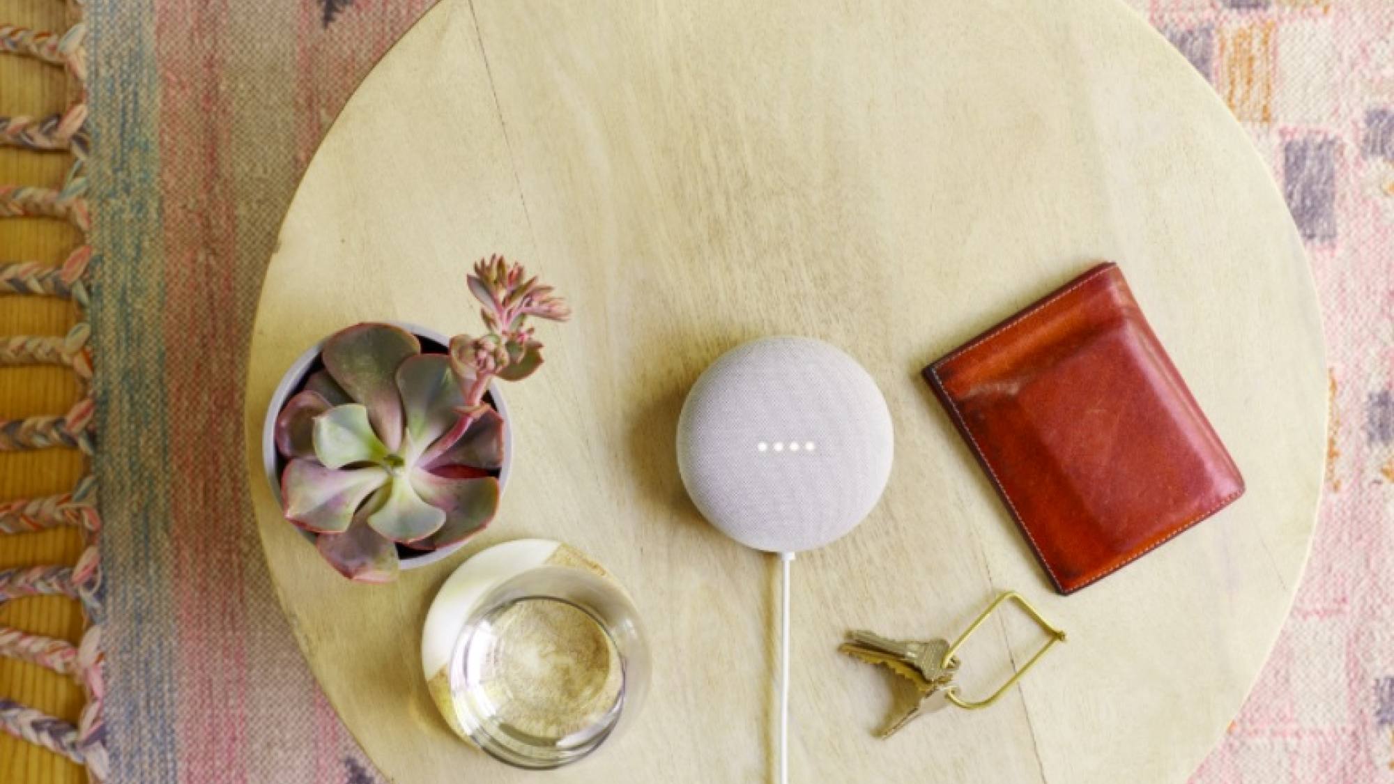 nest mini 01, EntrepreNerd