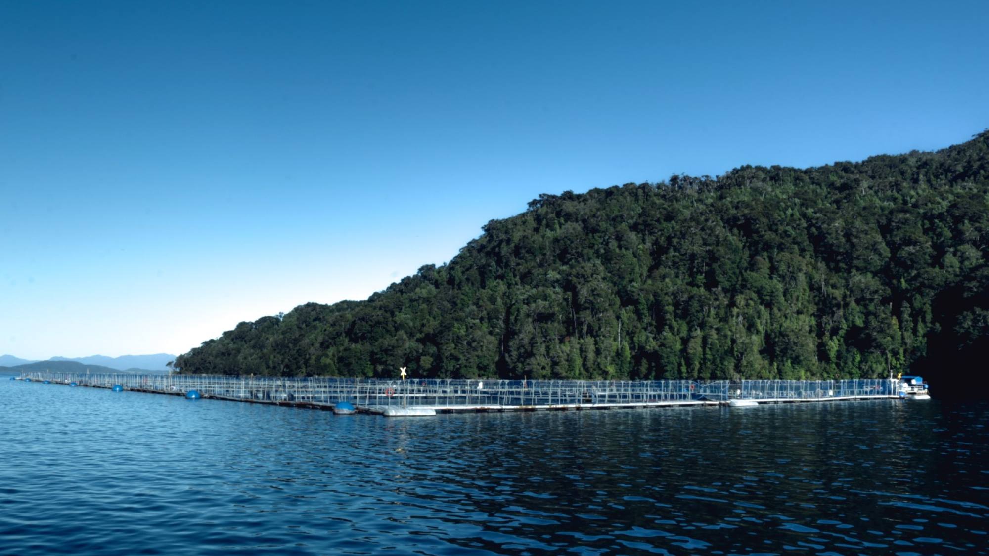 Acuicultura 01, EntrepreNerd