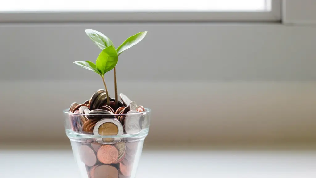 visual stories micheile SoT4 mZhyhE  ,Unsplash