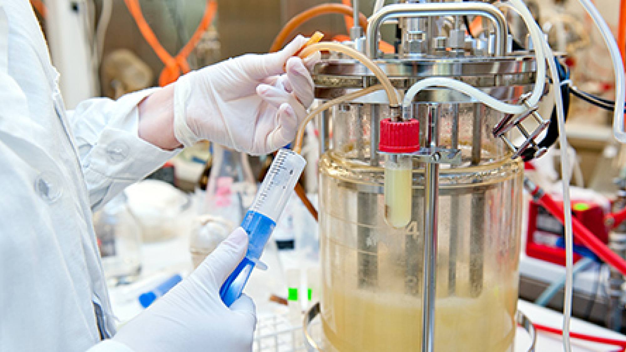 liva 1d 01 1, EntrepreNerd