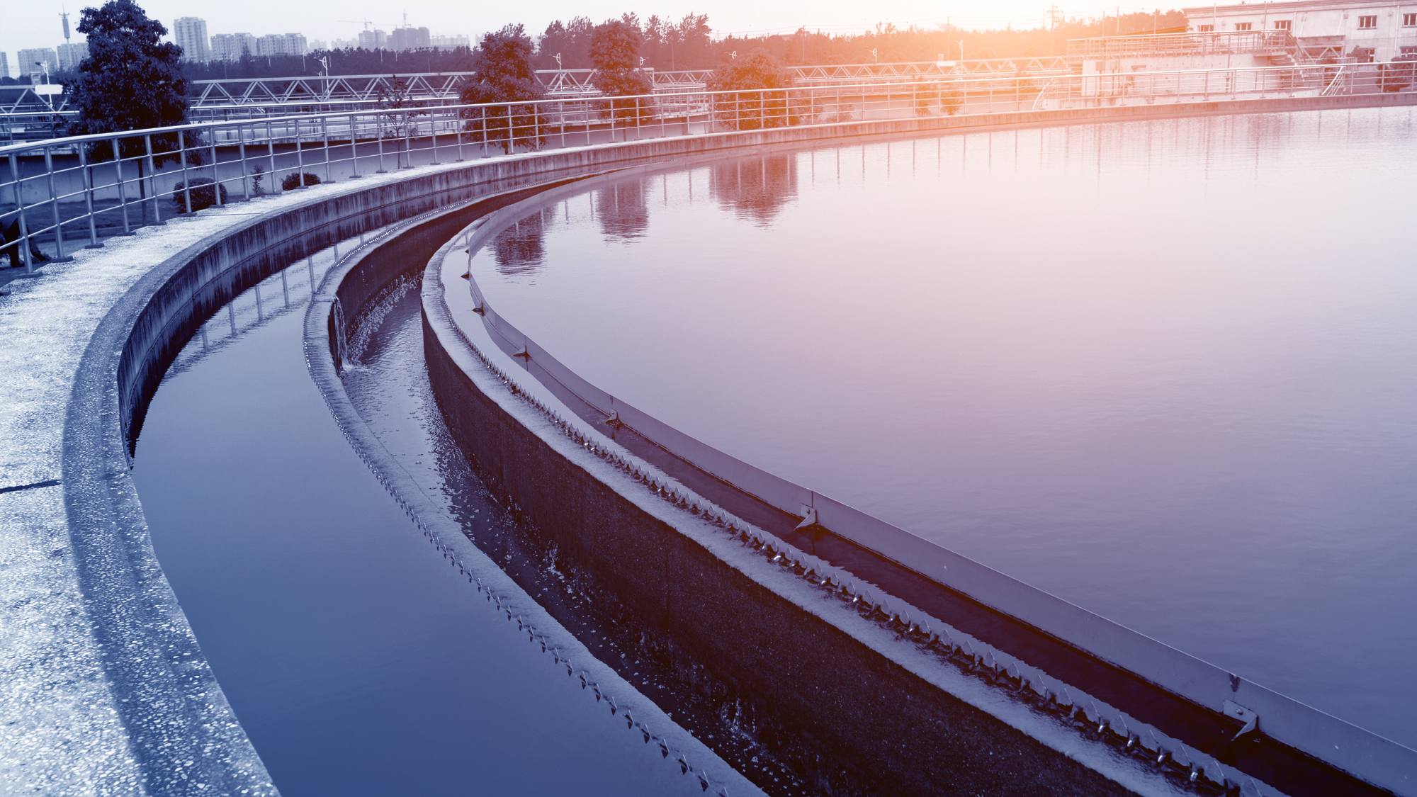 IAnwater, EntrepreNerd