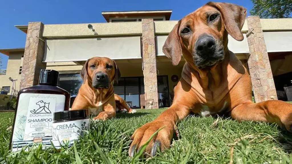 image 6483442 ,EntrepreNerd