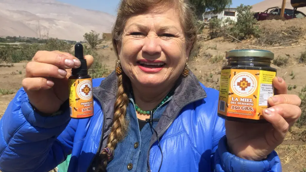 Emprendedora Arica ,EntrepreNerd