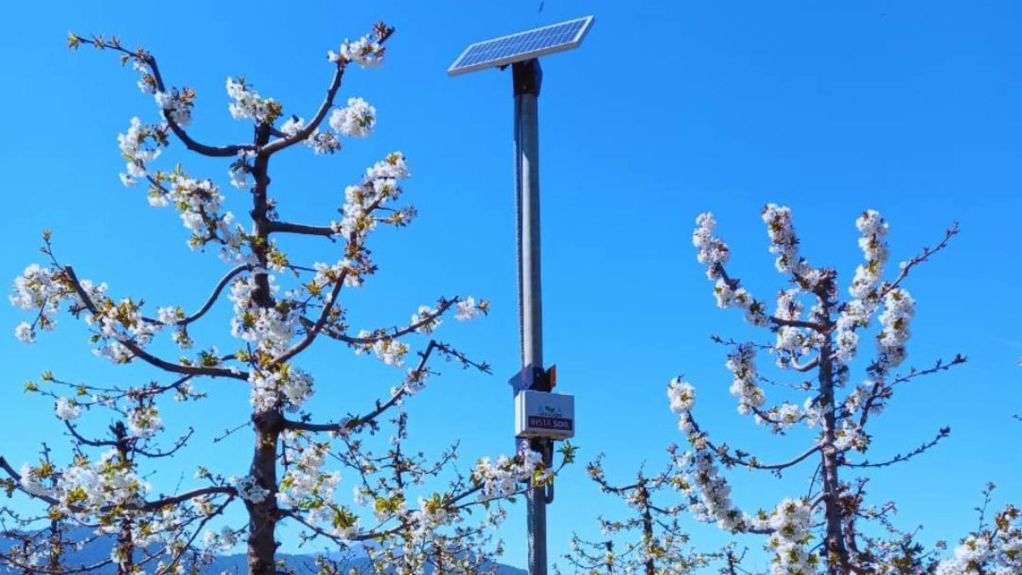 InstaSoil 4 e1635347049798, EntrepreNerd