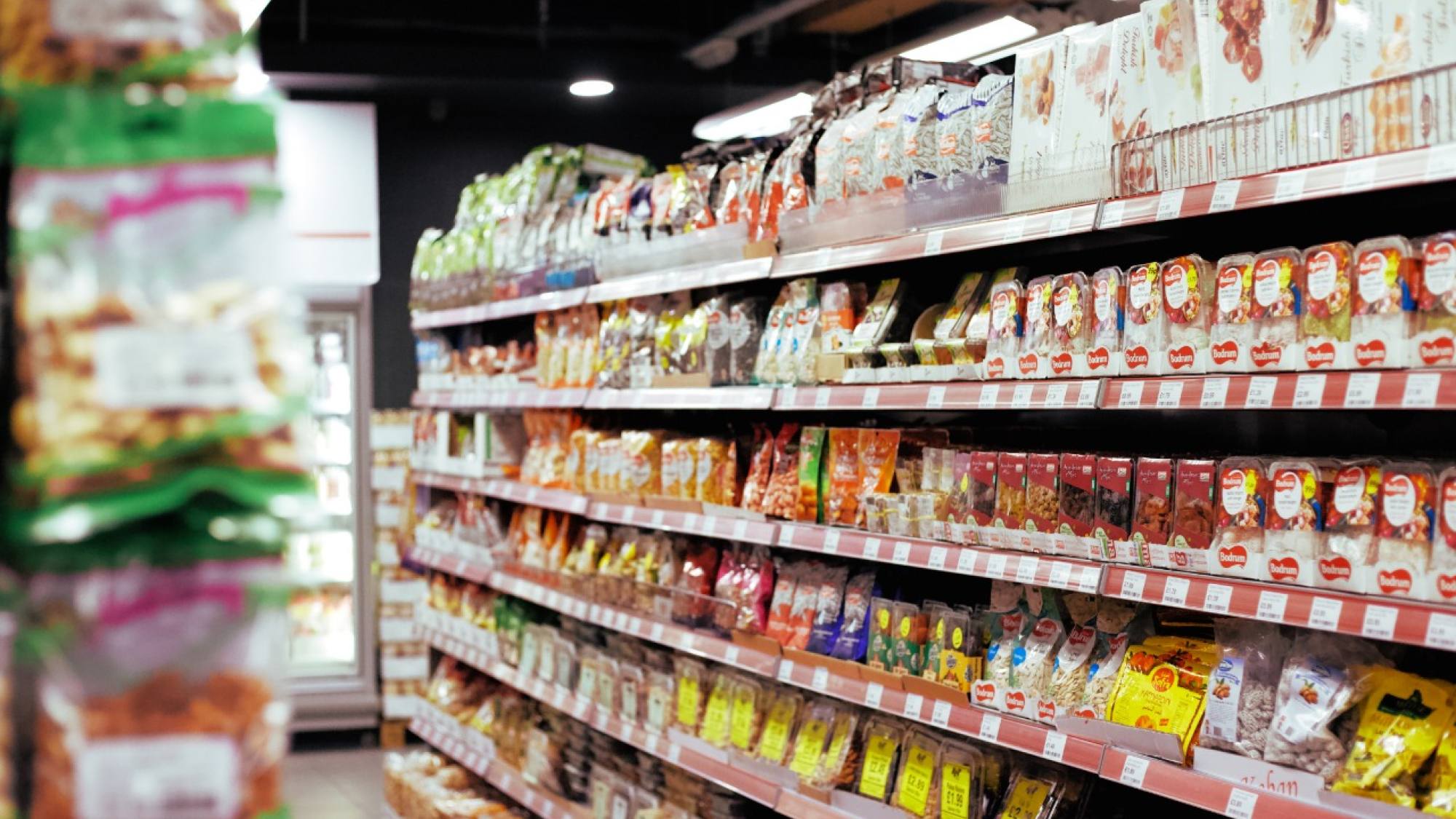 Datamind 1, EntrepreNerd