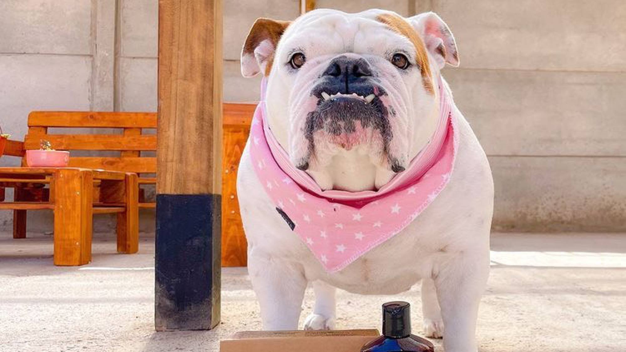 18D561EF E558 4121 8018 167CCDD358A5, EntrepreNerd