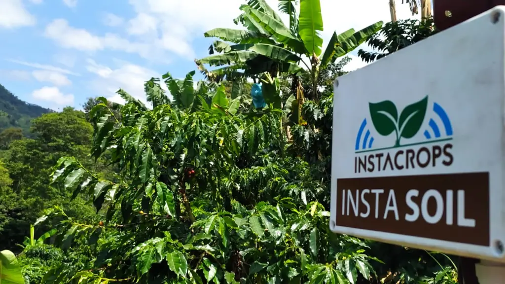 2316F40C 569B 42D5 9919 FEEA75F1180D ,EntrepreNerd