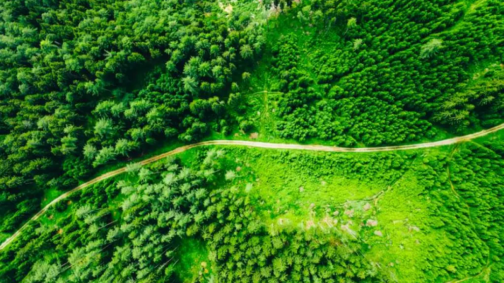 Carbono 00 ,EntrepreNerd