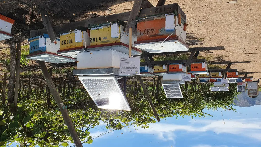 Foto 9 ,EntrepreNerd