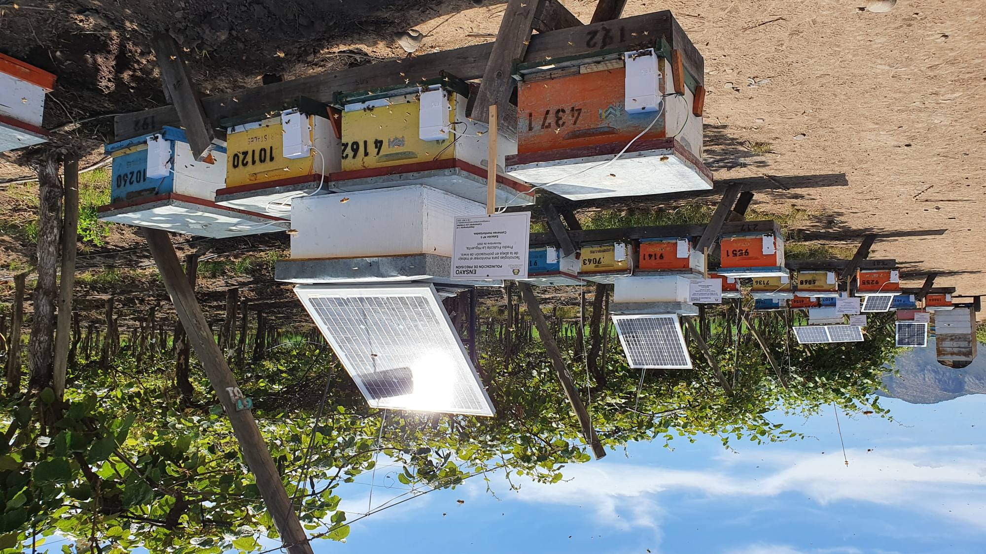 Foto 9, EntrepreNerd