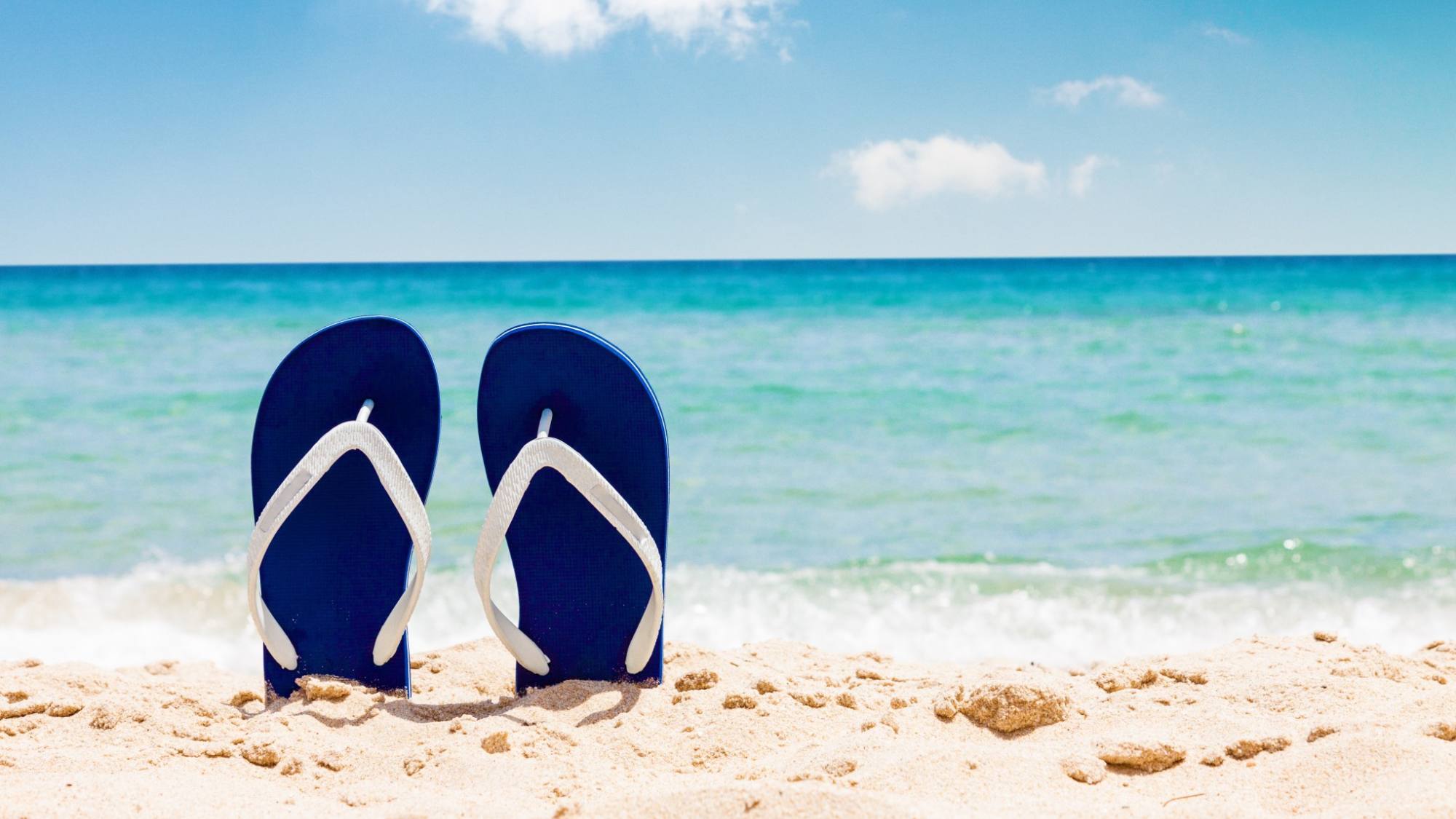 FA351 FOTO 2, EntrepreNerd