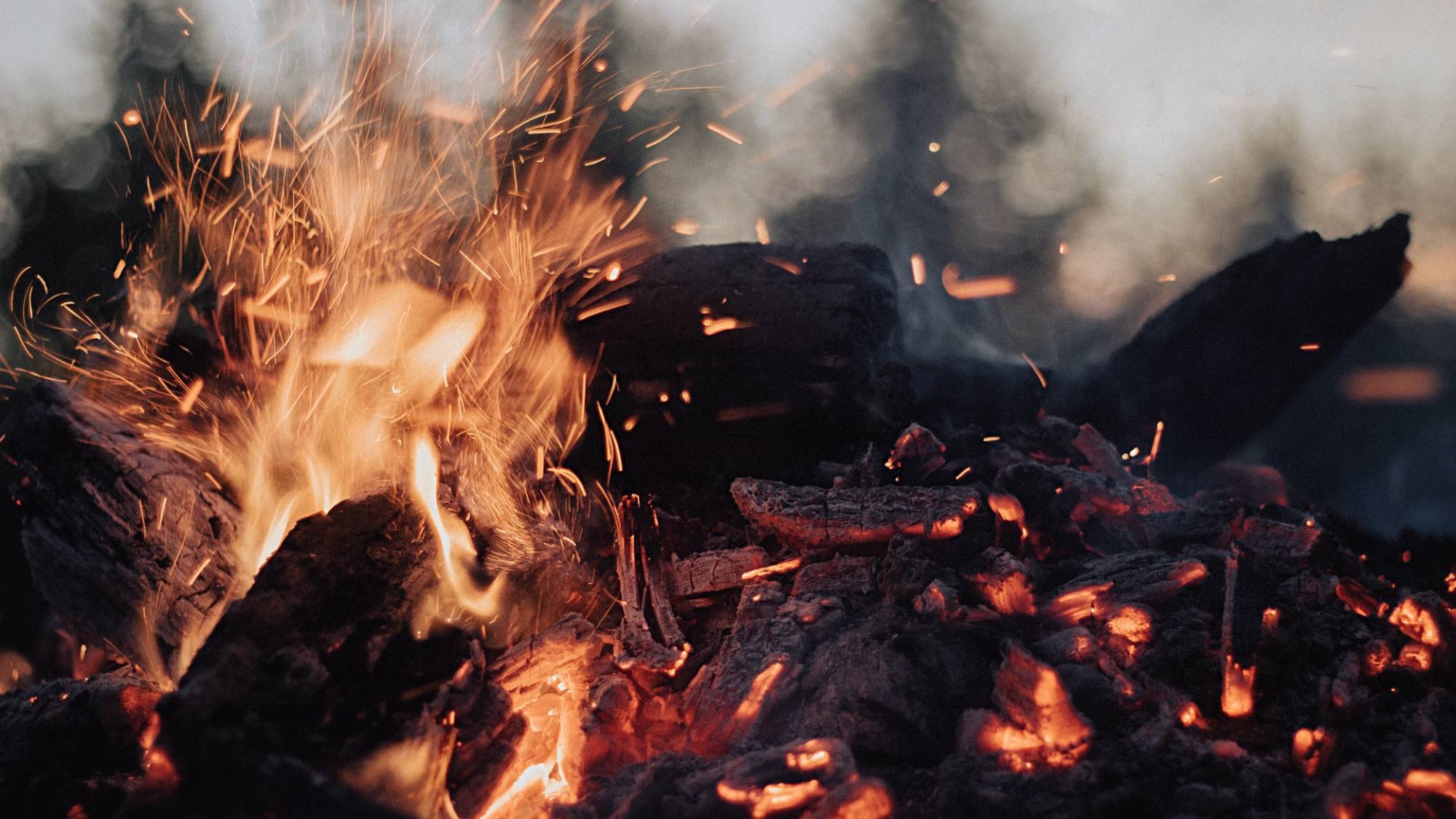 almos bechtold GFgWx3o8bTI , Unsplash