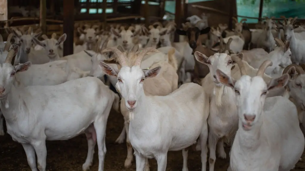 DSC1464 min 1 ,EntrepreNerd